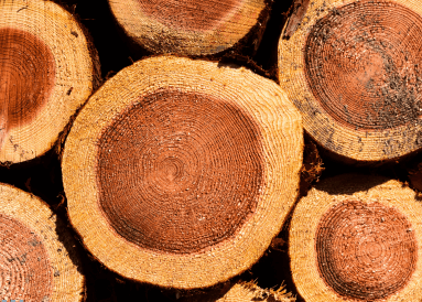 Wood Industry